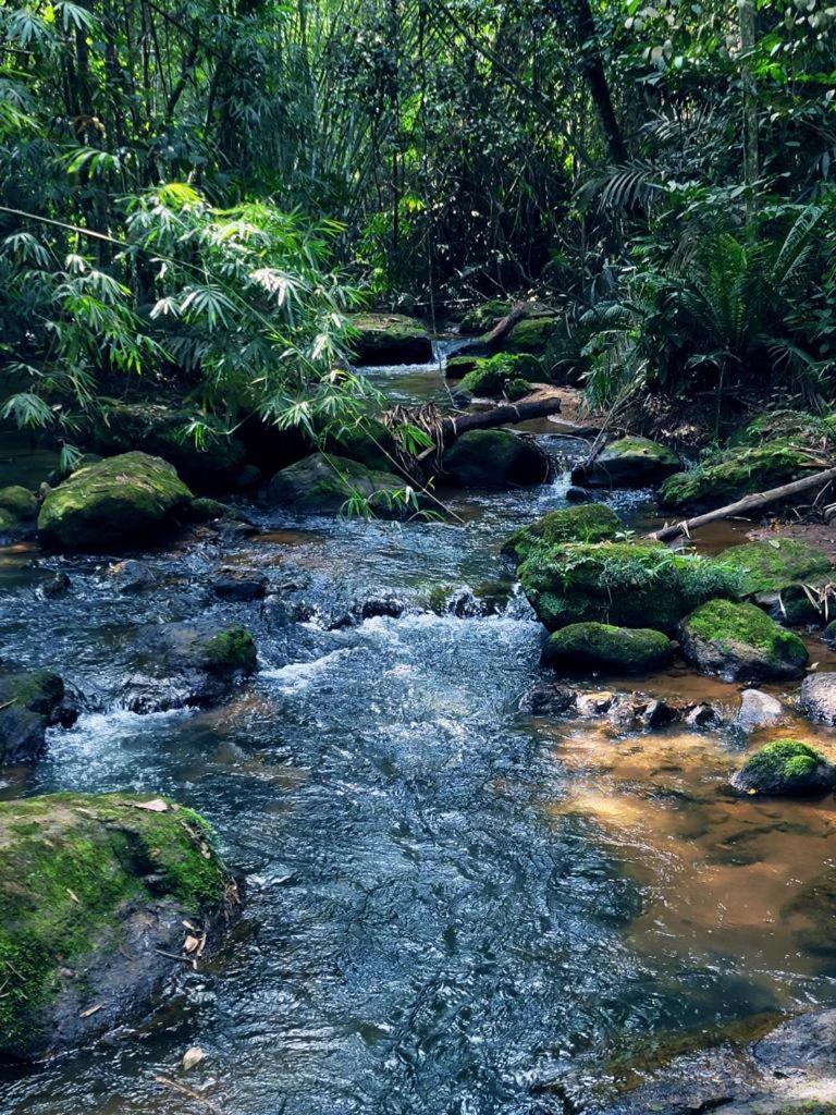 Pousada Sitio Das Pedras Domingos Martins Exterior foto